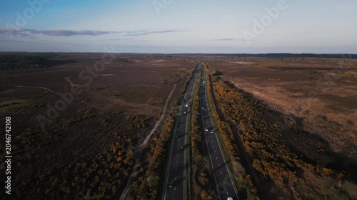 Busy carriageway through the New Forest, Hampshire, UK, sunset in Spring.