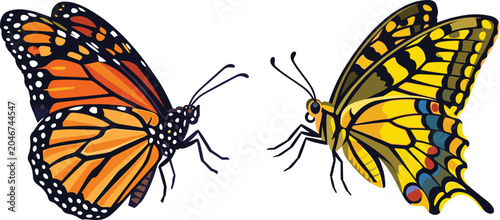 Konstfotografi Vector illustration of an orange monarch butterfly and a yellow swallowtail butt