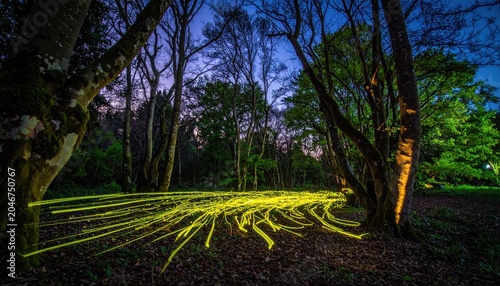 Bioluminescent Fireflies Create Luminous Trails Through a Twilight Forest Path