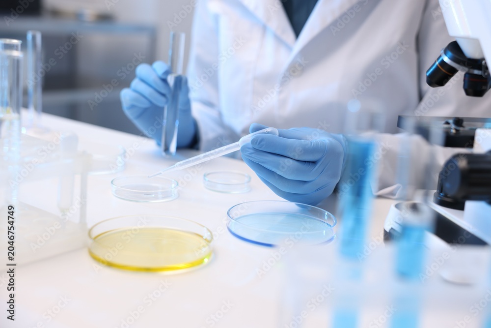 Fototapeta premium Laboratory testing. Scientist with test tube dripping sample into Petri dish at white table indoors, closeup