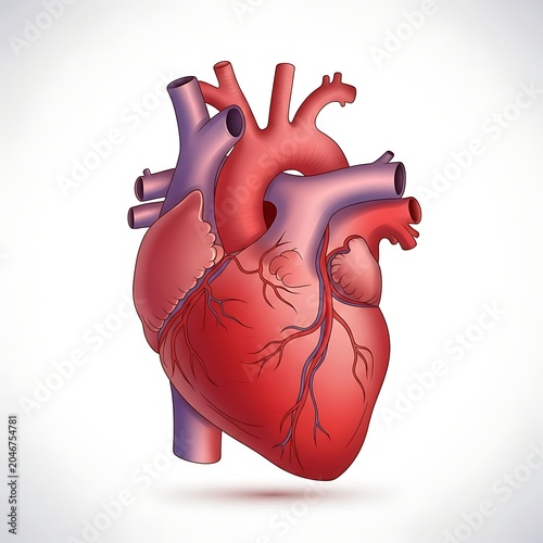 Red heart shaped balloon floating against white background.