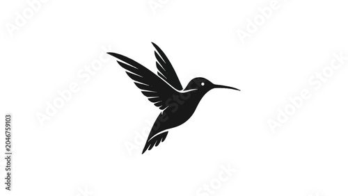 Photos Black Silhouette of Hummingbird in Flight 1.