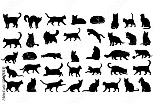 Collection of cat silhouette poses isolated on white background. Set includes sitting, walking, jumping, sleeping, stretching, and playful domestic cat silhouettes for design projects