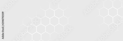 Abstract white and grey hexagonal pattern background design. Modern simple overlapping hexagon geometric element with molecular structures. Medical science technology concept