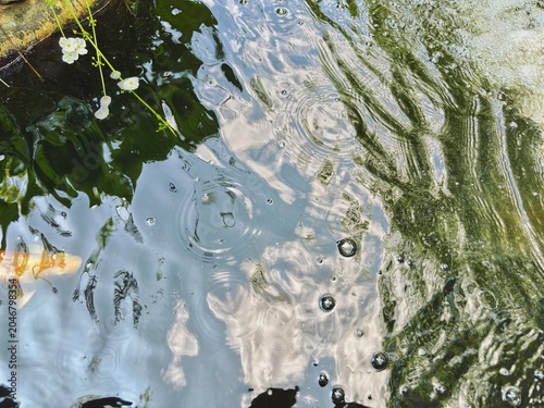 Water ripples and bubbles on a pond surface, depicted in nature