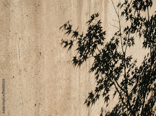 Minimalist leaf shadow texture overlay on beige concrete wall background banner with copy space for product presentation