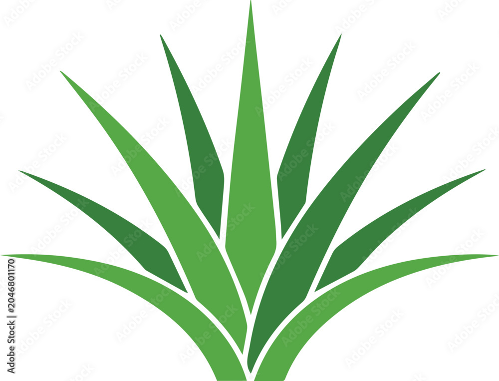 Fototapeta premium Agave silhouette for spirits label and packaging