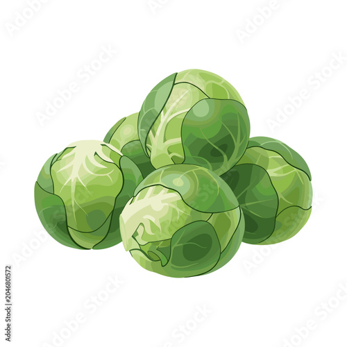 Simple Group of Five Fresh Brussels Sprouts