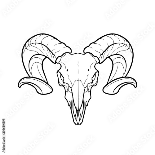 Simple Outline Drawing of a Ram Skull