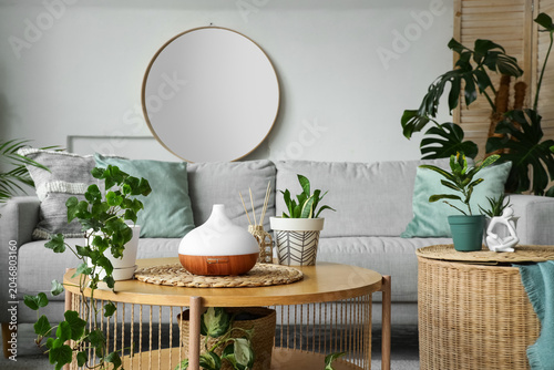 Air humidifier with green p...