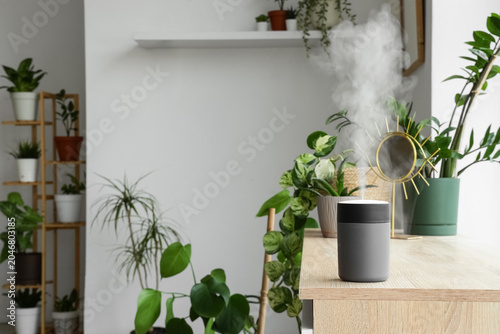 Air humidifier with green p...
