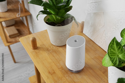Air humidifier with green p...