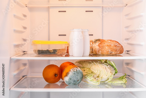 Фотография Moldy oranges with chinese cabbage, cheese, bread and bottles of yogurt in refri