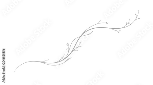 Vine grows in a delicate floral shape.