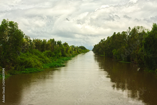 Fotografi Endless water highway dividing the dense green Tra Su forest in An Giang