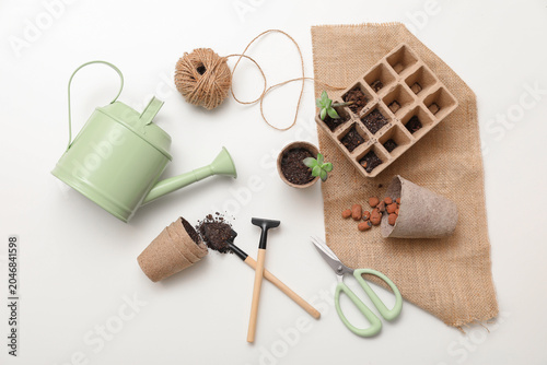 Gardening tools with seedling on white background. Top view