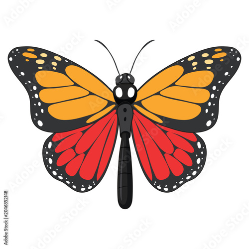 vector