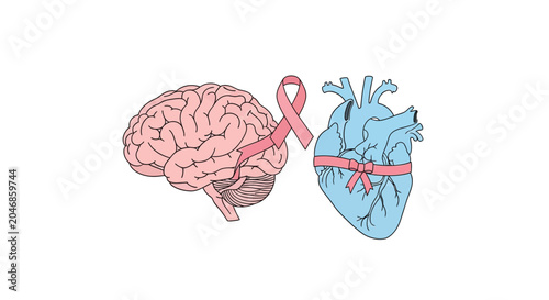 Pink brain illustration with white transparent background
