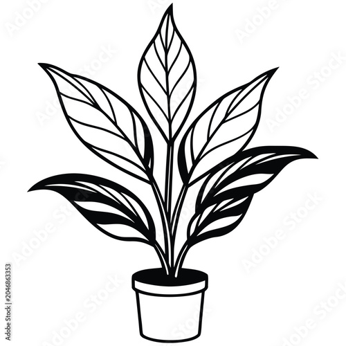 zz-plant-isolated-on-pure-white-background.eps