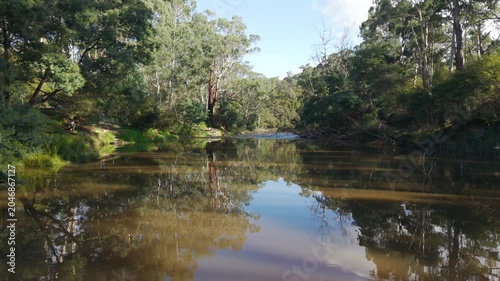 Yarra river flowing through warrandyte state park forest