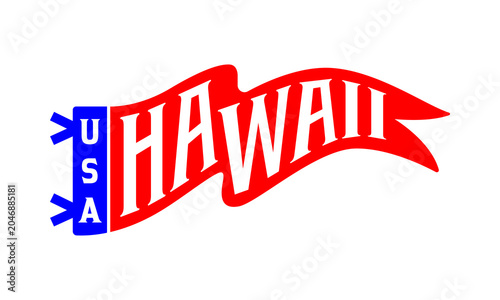 Vintage Hawaii USA felt pennant vector illustration isolated on a white background.