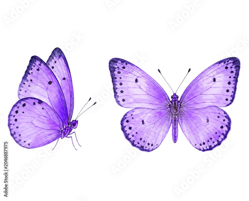 Light purple watercolor hand-painted butterfly illustration with two poses, cutout PNG decorative material on white background