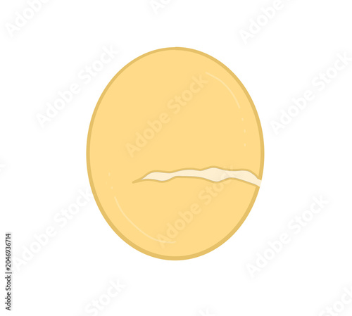 broken egg vector illustration