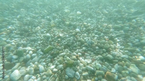 Underwater view of vibrant rocks and sandy seabed