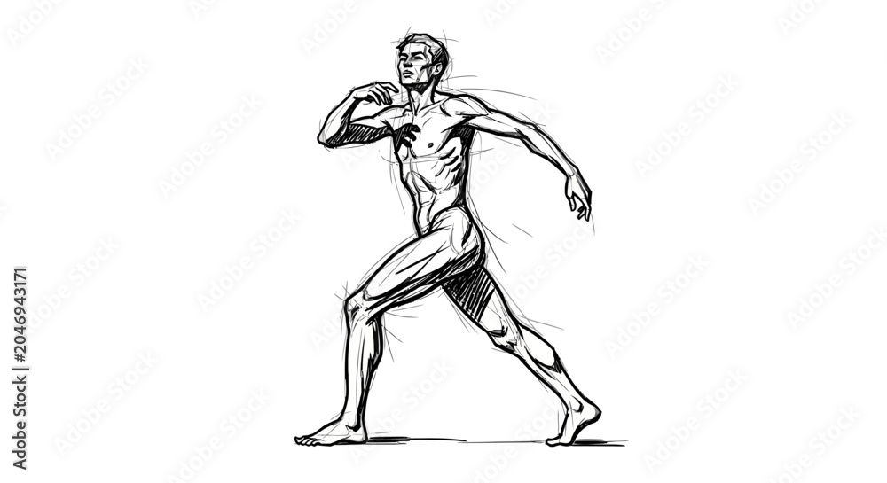 Obraz premium Detailed anatomical pencil sketch of a male figure in a dynamic walking pose