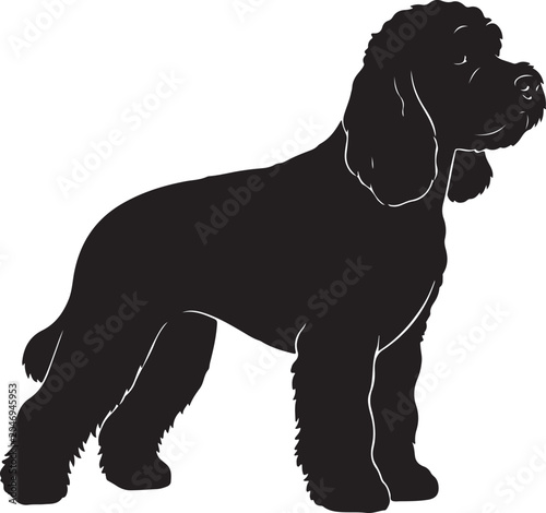 Black silhouette of a standing dog breed with curly fur, Generative Ai