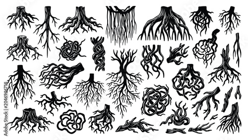 Collection of various plant roots silhouettes set with silhouette botanical underground structure collection illustration abstract