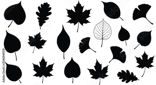 Botanical illustration of various leaf silhouettes on white background