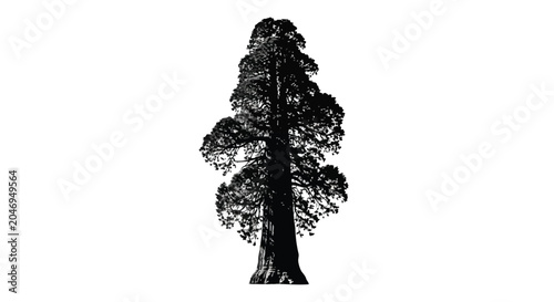 Elegant tree silhouette on clean white background, modern minimalist design element