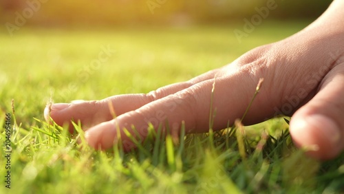 Schilderij op canvas Touching grass tenderly reflects harmony with the earth, promoting well-being and sustainability