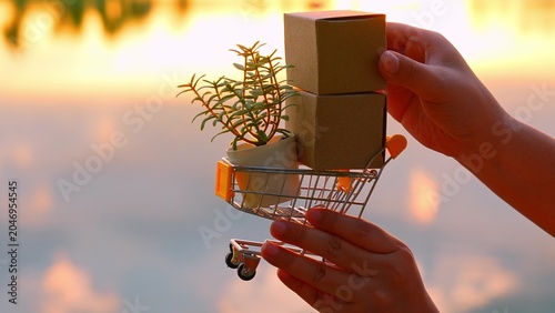 Foto A hand puts a package on an E-commerce cart, reflecting efficient logistics, digital transformation, personalized service, environmental awareness, and freedom of online shopping anywhere, anytime