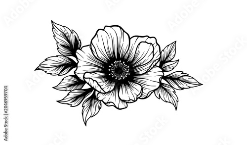 Bild auf Leinwand Elegant Hand Drawn Botanical Line Art Sketch of Single Anemone Flower with Detai
