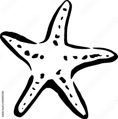 Starfish Asterias Rubens Clipart Beachside Wedding Summer Hand Drawn Element