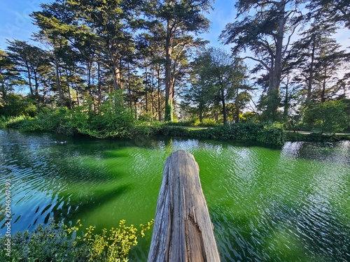 Golden Gate Park, San Francisco