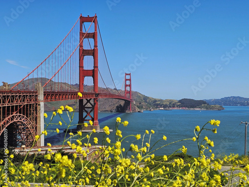 City by the Bay