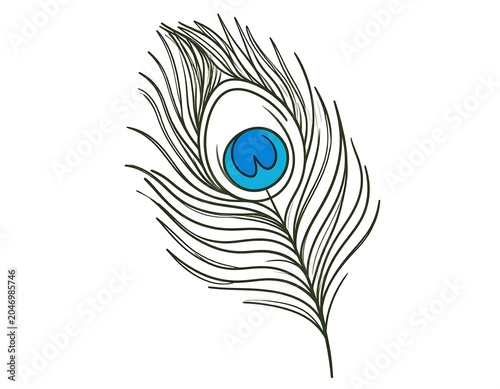 A vibrant peacock feather, a detailed illustration with a blue eye-like pattern