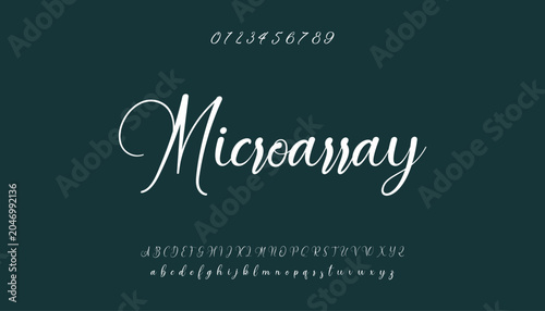 Bild auf Leinwand signature Font Calligraphy Logotype Script Brush Font Type Font lettering handwritten