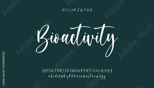 Foto signature Font Calligraphy Logotype Script Brush Font Type Font lettering handwritten