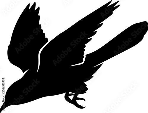 eagle in flight