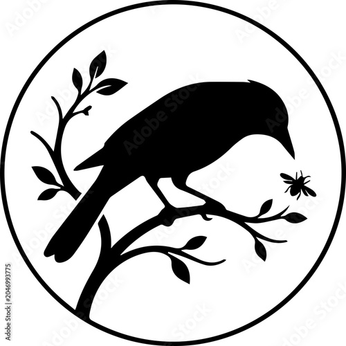 black oriole sit on branch and hunting ant
