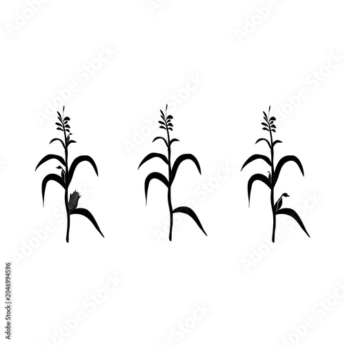 Bild auf Leinwand Corn stalks silhouette vector illustration set