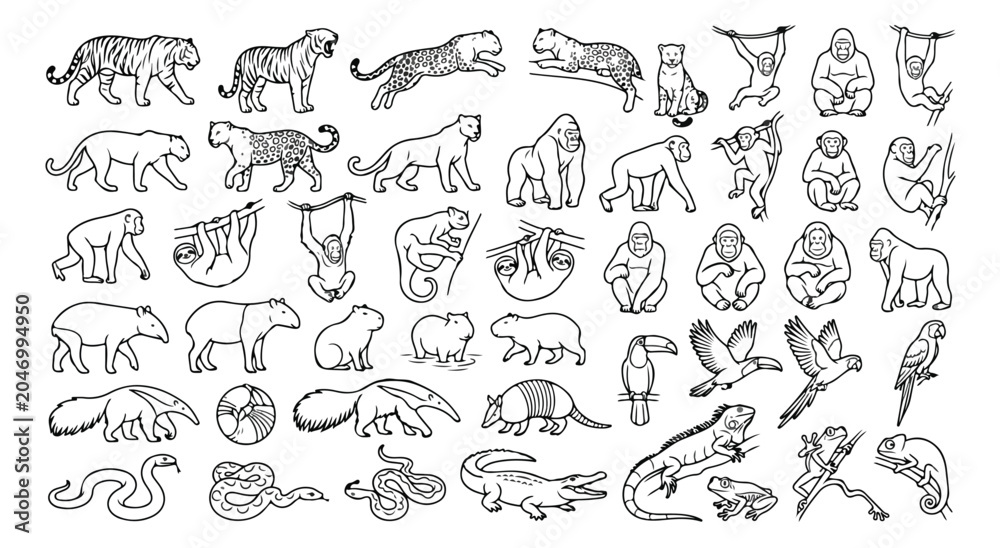 Fototapeta premium Jungle animal line art icons, wild tropical wildlife vector set, exotic safari creatures collection, black and white zoo animal illustrations