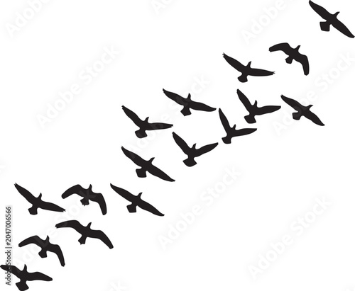 Canvastavla flying canadian geese Canada Goose 1