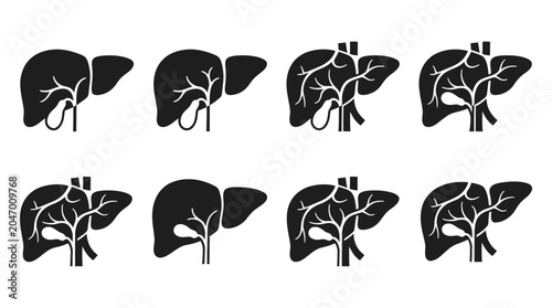 Human liver anatomy silhouette vector collection featuring internal structures, veins, bile ducts, and gallbladder details for medical, educational, and healthcare design illustrations.
