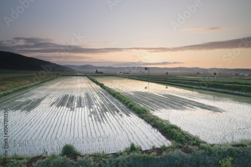 Obraz na płótnie Hokkaido, mountain ridges and rural landscape, with countryside, in june, nature