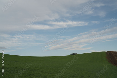 Fotografie Hokkaido, flowing clouds and rural landscape, with countryside, in september, wi